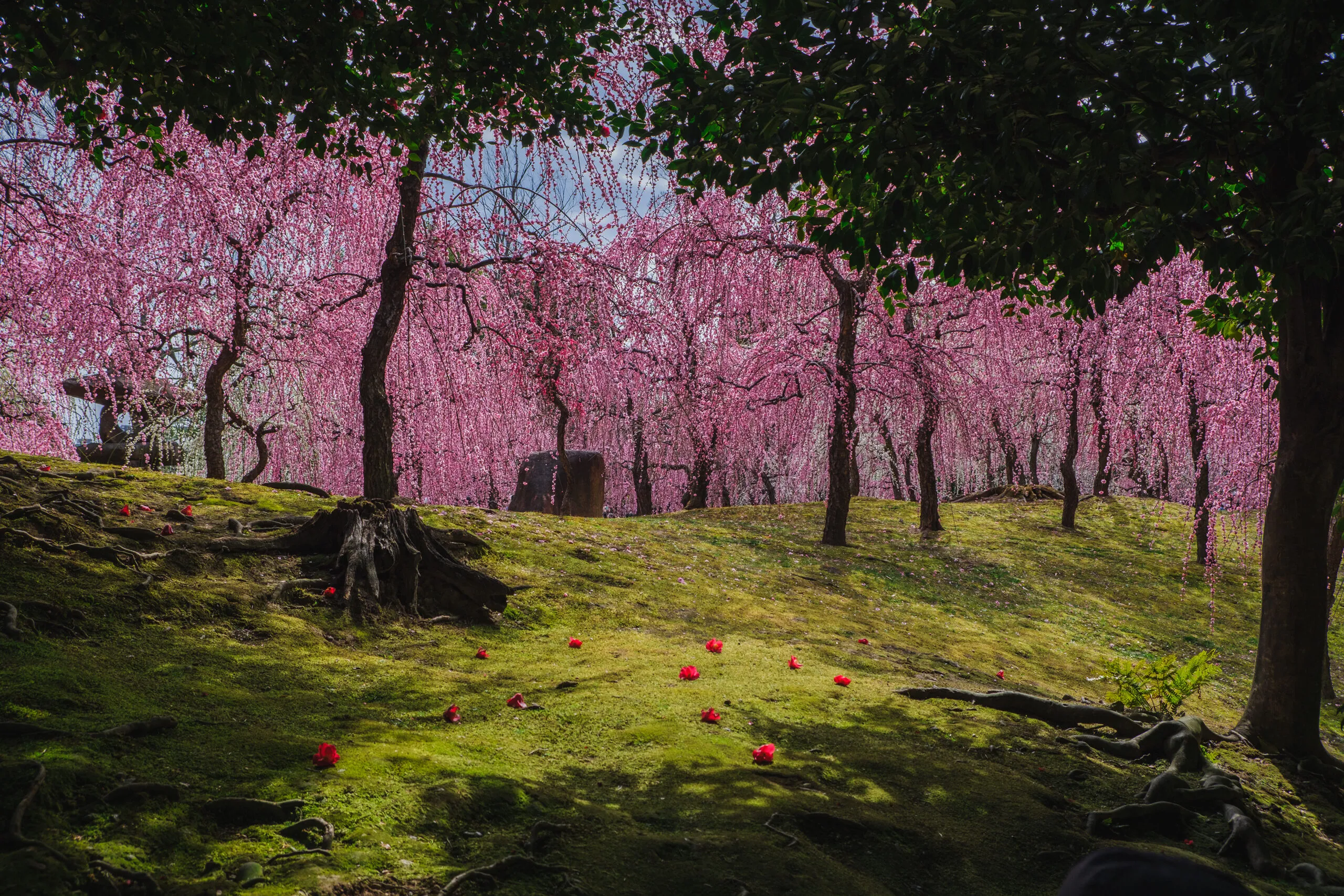 城南宮の写真 5