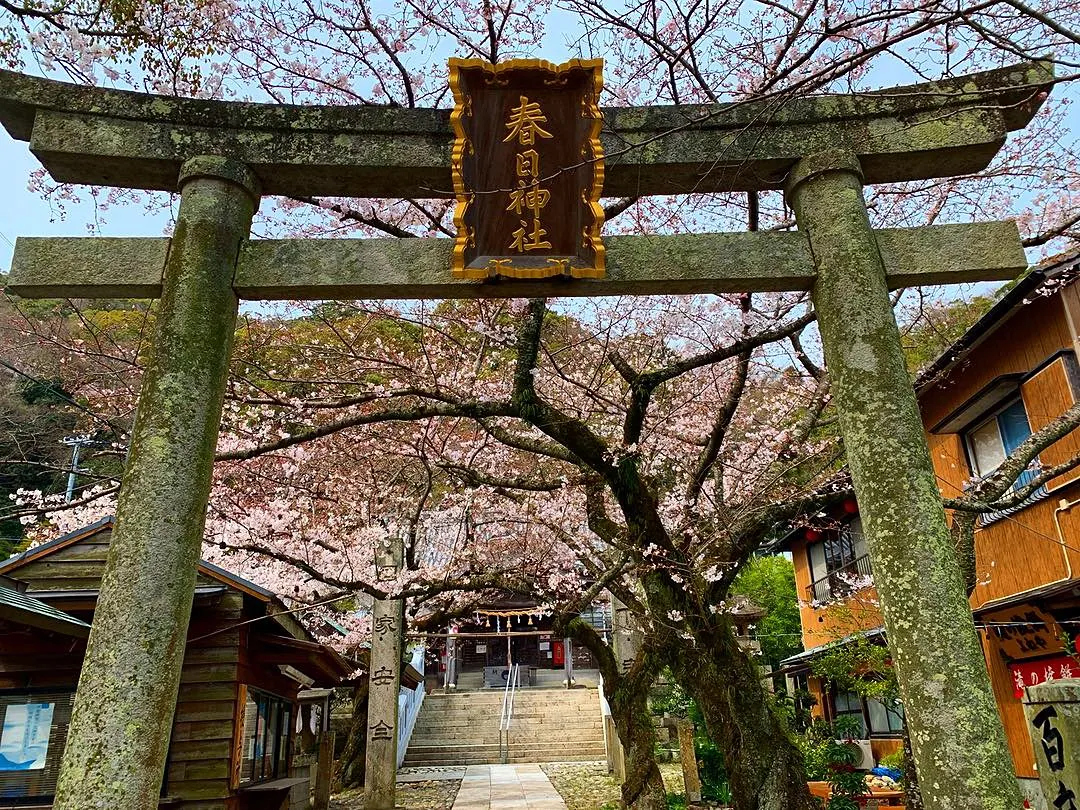 春日神社の写真