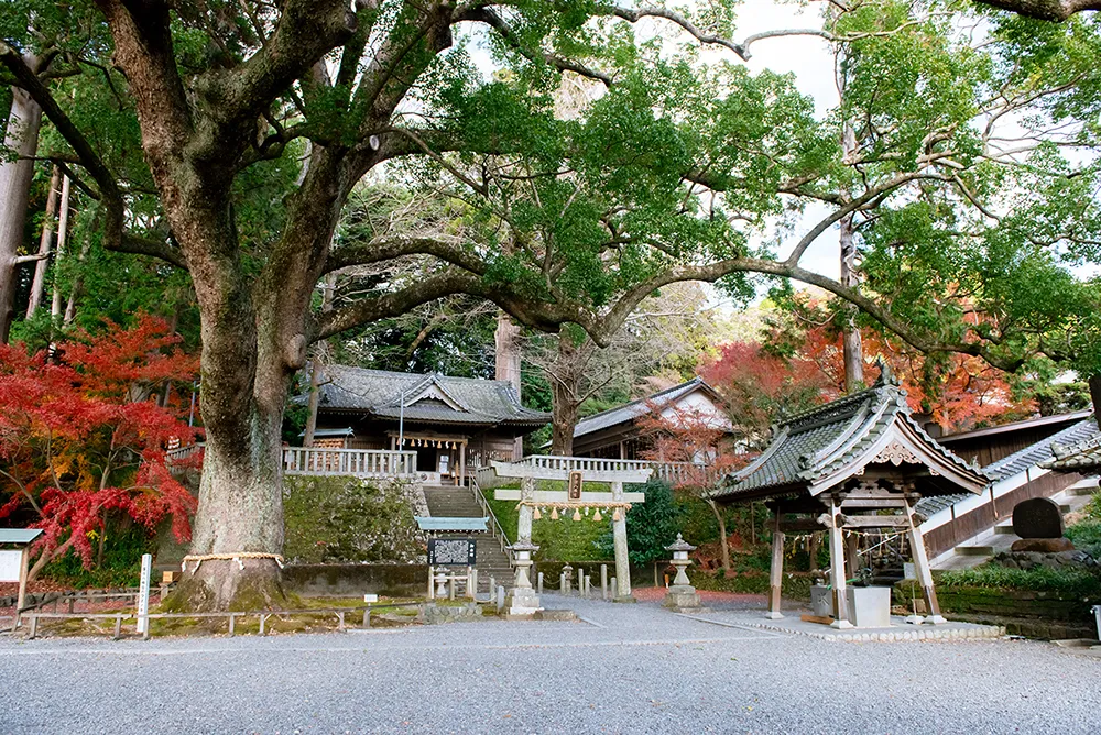 事任八幡宮の写真 4