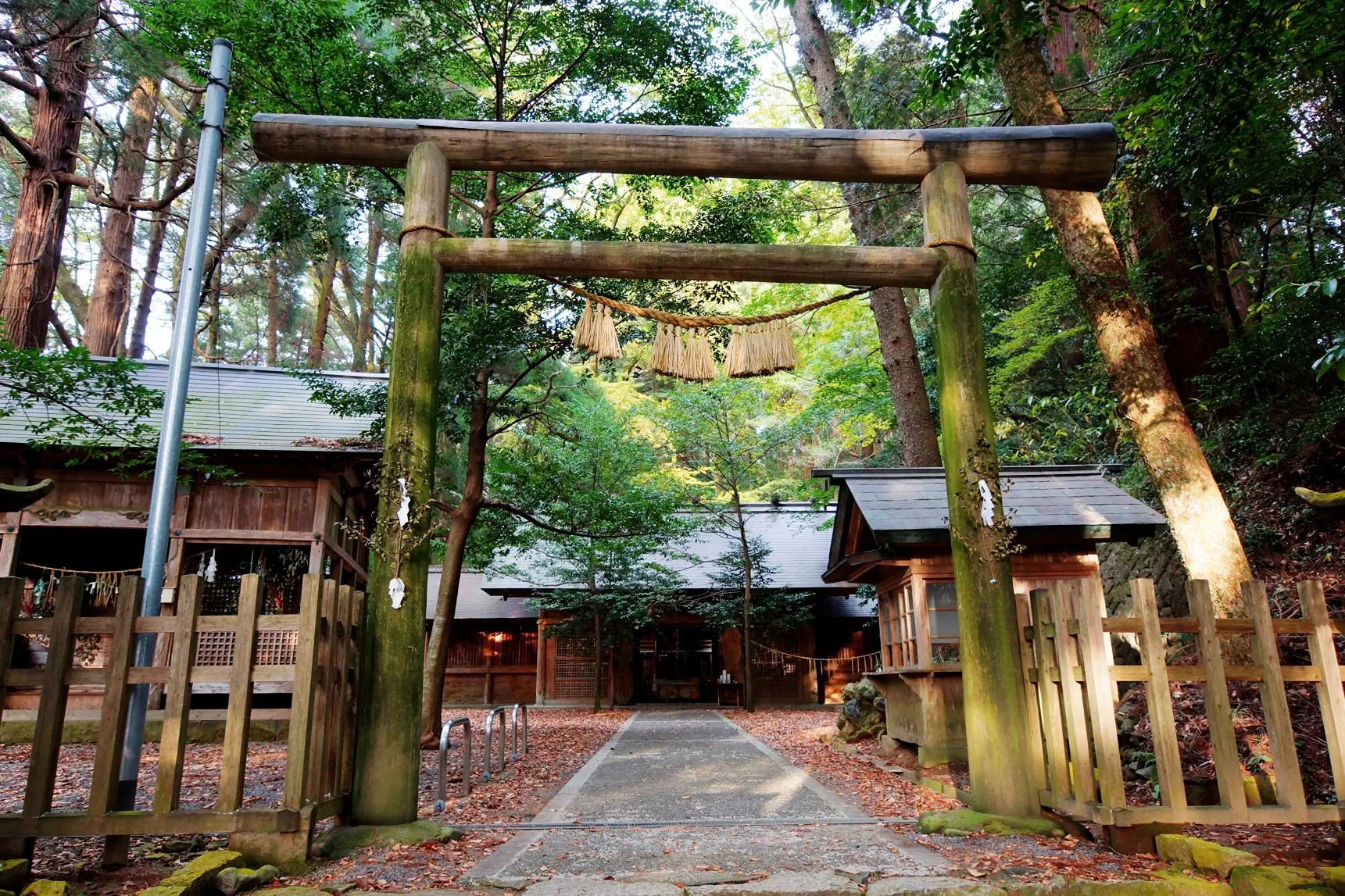 天岩戸神社の写真
