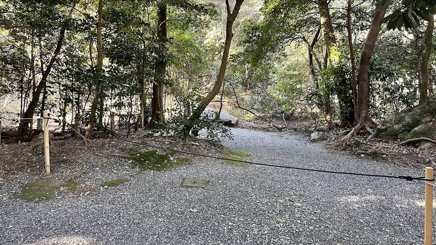 上御井神社の写真